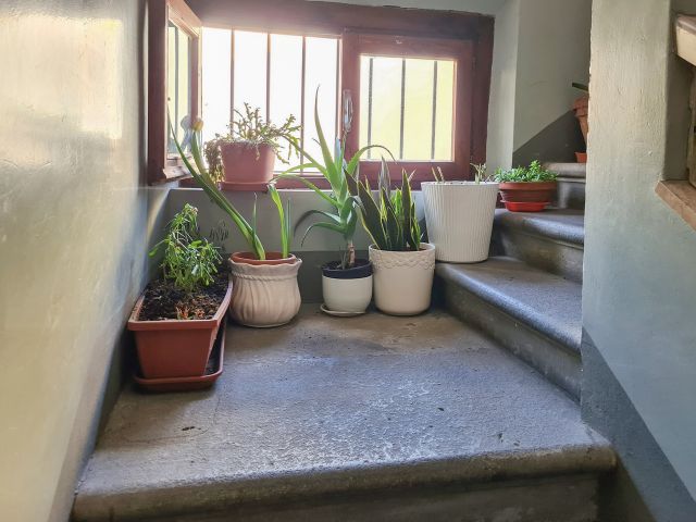 Immobile rif. ARAA366 a Firenze Savonarola - Immagine 29
