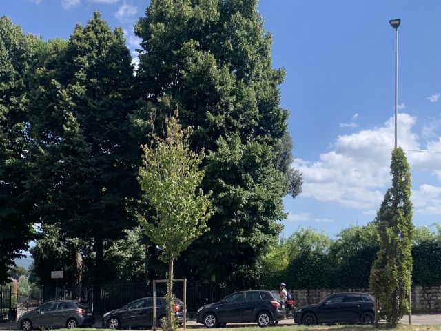 Immobile rif. VRAA235 a Firenze Bellariva - Immagine 32