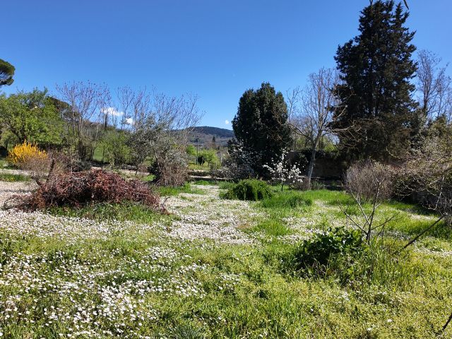 Appartamento in Vendita