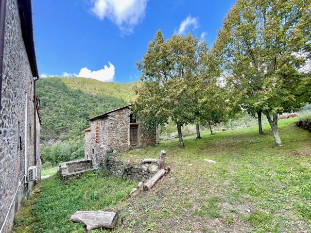 Immobile rif. VRCC170 a Londa Petroio - Immagine 18