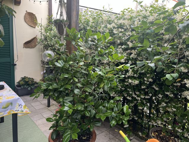 Immobile rif. VRTT347 a Pontassieve Pontassieve - Immagine 38