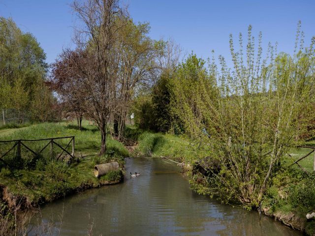 Immobile rif. VRVI218 a Bagno A Ripoli Ponte A Ema - Immagine 8