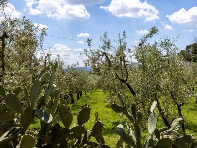 Immobile rif. VRVP336 a Firenze Serpiolle - Immagine 26