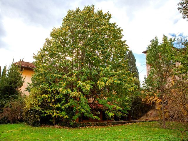 Immobile rif. VRVV190 a Firenze Bolognese - Immagine 25