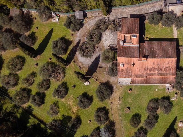 Immobile rif. VRVV202 a Firenze Galluzzo - Immagine 4