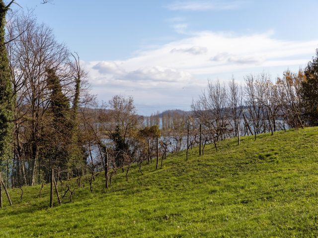 Immobile rif. VRVV315 a Barberino Di Mugello Bilancino - Immagine 17